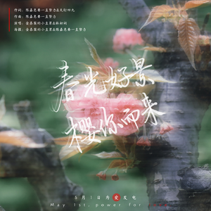 春光好景，樱你而来