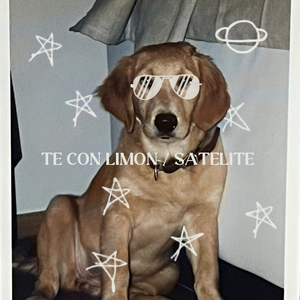 Satélite