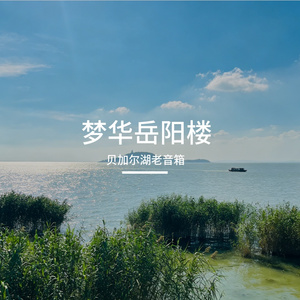 梦华岳阳楼