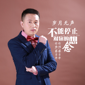 不能停止对你的思念