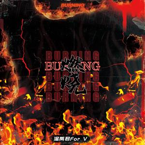 燃烧 Burning