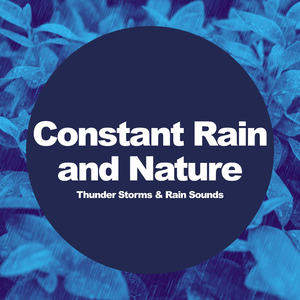 Monday Afternoon Rain