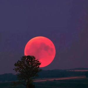 初秋和你（Cover:隔壁老樊）