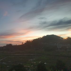 雨天池核ai版本