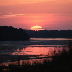 归影若雪随心动