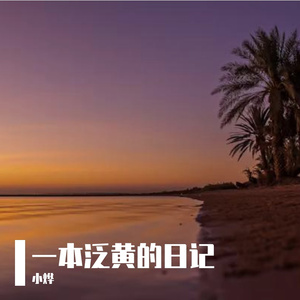 一本泛黄的日记