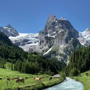 无地自容（bgm版)