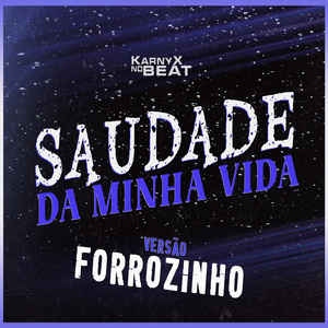 Saudade da minha vida Versão Forrozinho