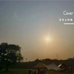 长大就好（翻自 司南）