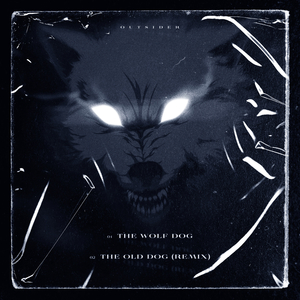 늙은 개 (Remix)