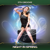 5th Groove - Night in Spring (24 Bit Remastered)