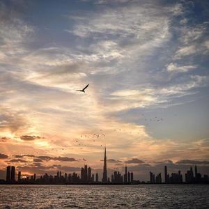 最近我有些累了