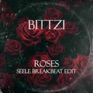 Roses (Seele Remix)
