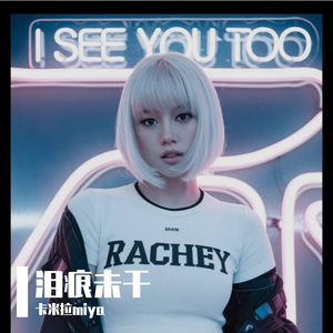 归途的风景 伴奏