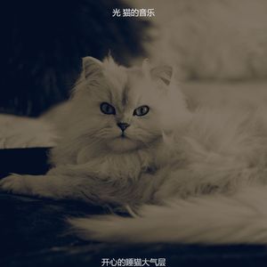 微妙的睡猫心情