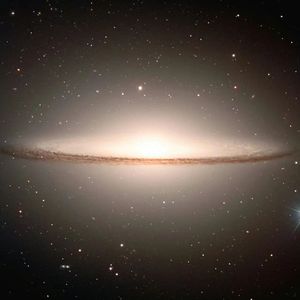 斯普兰朵Splendor