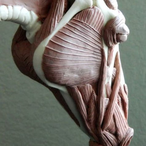 Bria's Interlude (slowed)