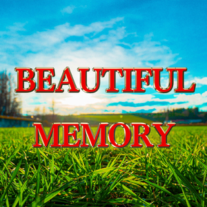 Beautiful Memory