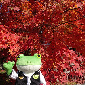 ハッピークリスマス