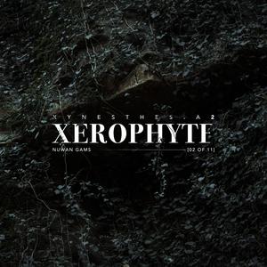 Xerophyte