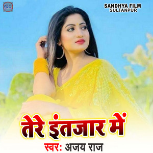 Tere Intjar Me