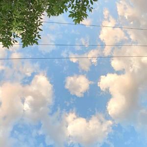 遇见你时风很甜 (八音盒）