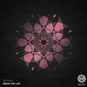 Break The Law (Original Mix)