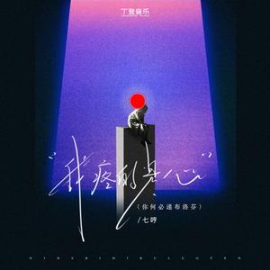 我疼的是心(你何必递布洛芬) DJ版