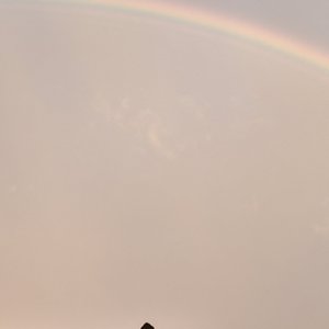 爱而不得终成殇