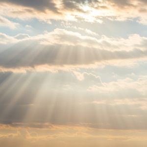 光は、君の中にある