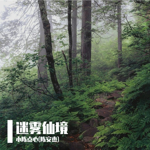 迷雾仙境