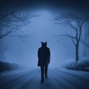 i do what the voices in my head tell me to