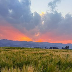 写在风中的信（DJ）