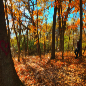 clarity. (slowed+reverb)