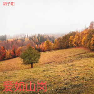 爱如山岗