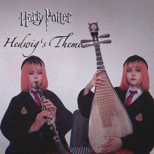 Hedwig’s Theme（琵琶）哈利波特主题曲