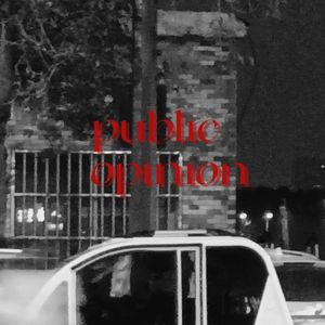 public opinion(prod by C&R$Y）