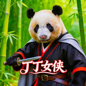丁丁女侠