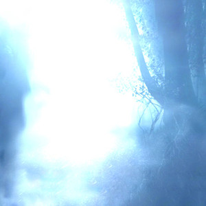 说到底都顺其自然