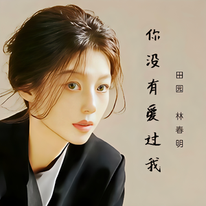 你没有爱过我（男女合唱扎心版）