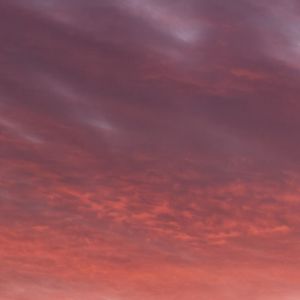 数不尽的悲欢离合忘了说再见