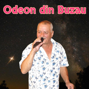 Cenușăreasa