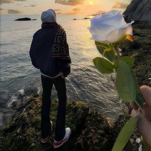 你是我情愿以身犯险