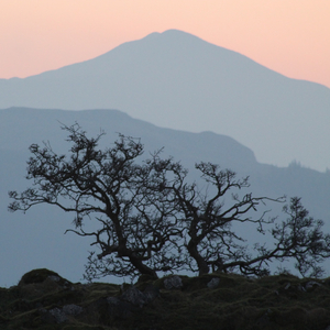 Come To Your Senses (Extended Edit)