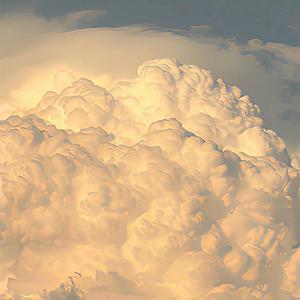 Jar Of Love一罐爱