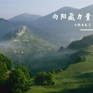 追朝阳