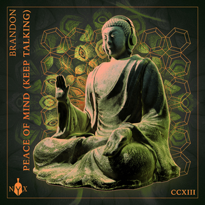 Peace Of Mind (Keep Talking)