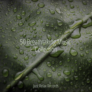 Enchanted Melancholy Manor