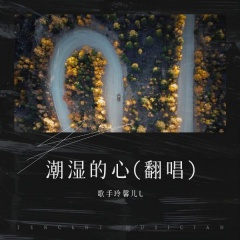 红尘赐我一身伤