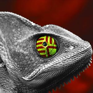 变色龙（EMEChameleon）